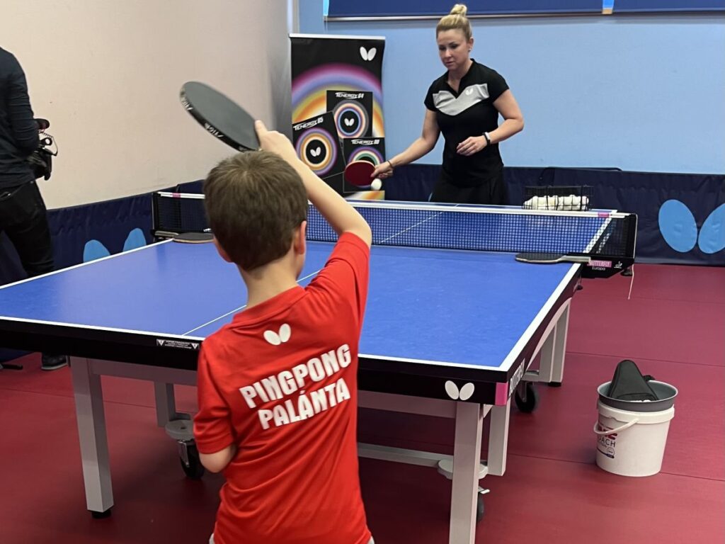 Pingpongpalánta