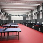 <a href='https://asztaliteniszezz.hu/teremnyilvntarts/pota-pingpong/'>P&oacute;ta PingPong</a>